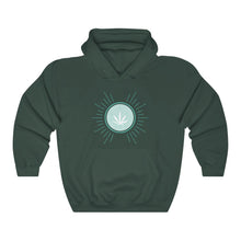 Load image into Gallery viewer, OOPSWEEDIDIT Hoodie