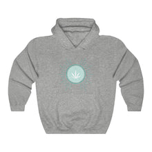 Load image into Gallery viewer, OOPSWEEDIDIT Hoodie