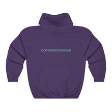 Load image into Gallery viewer, OOPSWEEDIDIT Hoodie