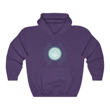 Load image into Gallery viewer, OOPSWEEDIDIT Hoodie