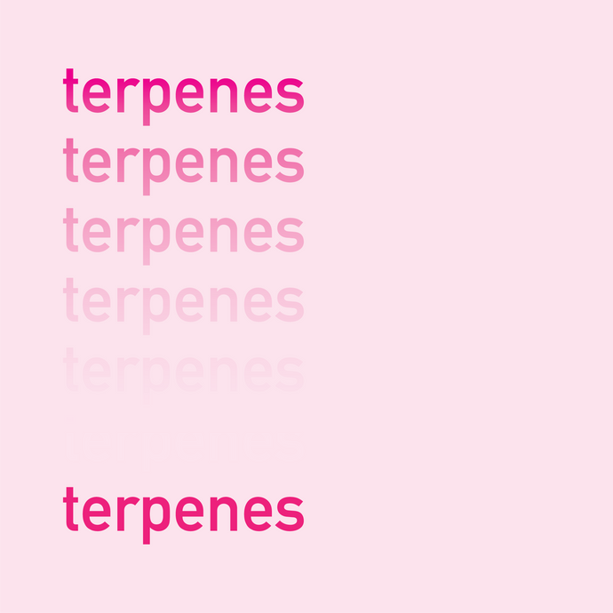 Terpene Time