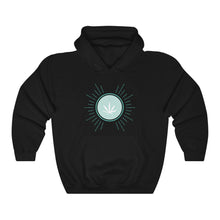 Load image into Gallery viewer, OOPSWEEDIDIT Hoodie
